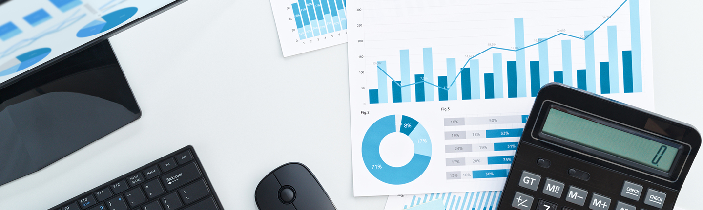 finance_audit2
